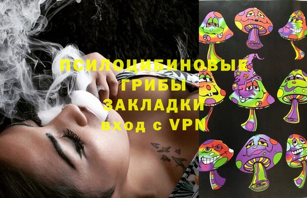 МДПВ Абаза